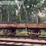 Régie BdR plat à bords bas xxxx2 - ...
