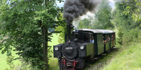 VE76 export. Autriche vapeur 699.101 – Straßburg (Autriche)